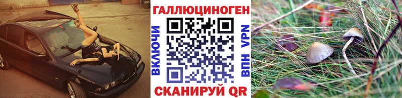 даркнет формула  купить   Навашино  Галлюциногенные грибы Psilocybine cubensis 